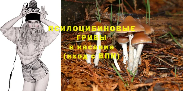амфетамин Алексеевка