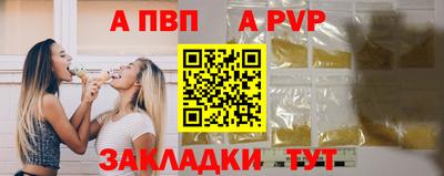 шишки Кингисепп