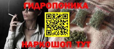 спайс Кинель