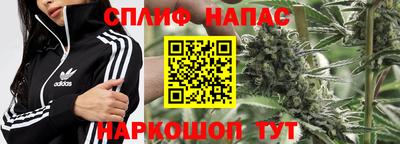 сатива Кимры