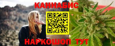 шишки Кингисепп