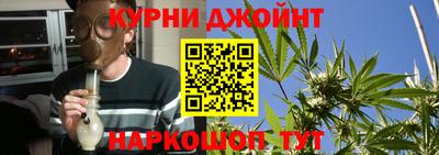 шишки Кингисепп