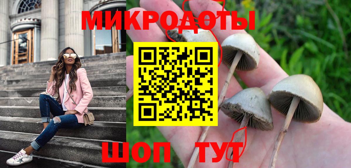 Кудрово  Галлюциногенные грибы мицелий  Галлюциногенные грибы ЛСД  как найти   Вход с VPN 