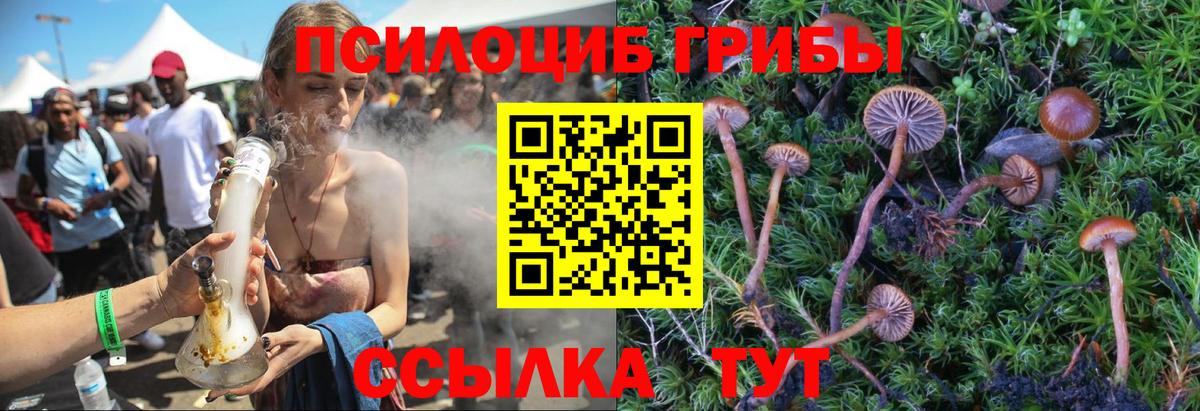 Галлюциногенные грибы прущие грибы Кудрово